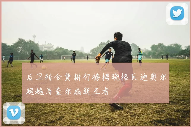 后卫转会费排行榜揭晓格瓦迪奥尔超越马奎尔成新王者