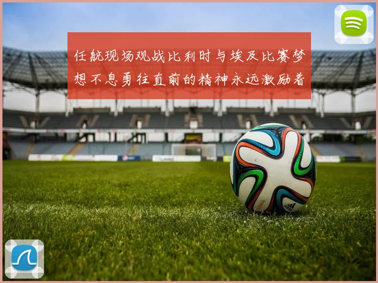任航现场观战比利时与埃及比赛梦想不息勇往直前的精神永远激励着我们